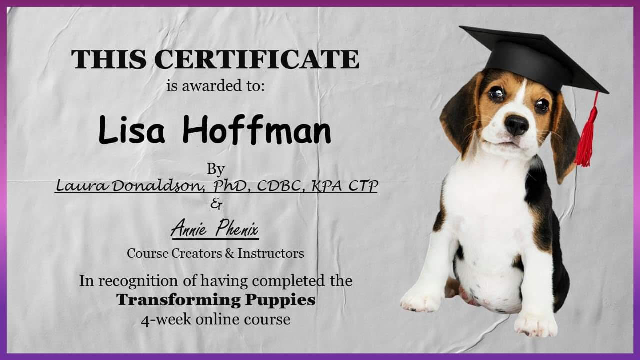 Transforming Puppies certificate