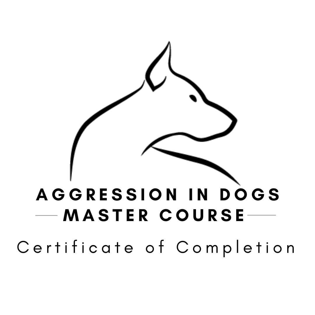 Professional dog training certification