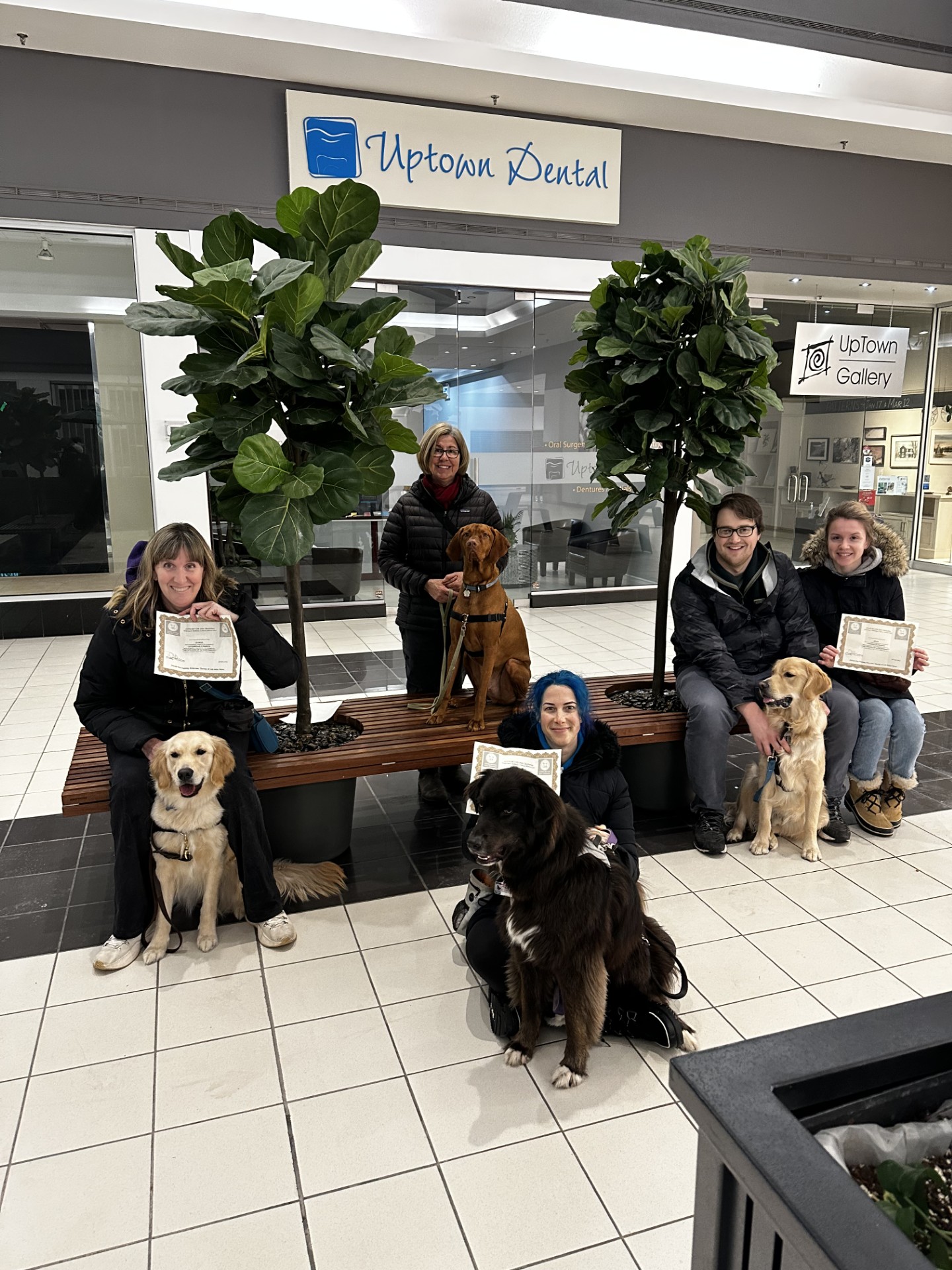 Dog learning obedience commands with positive reinforcement
